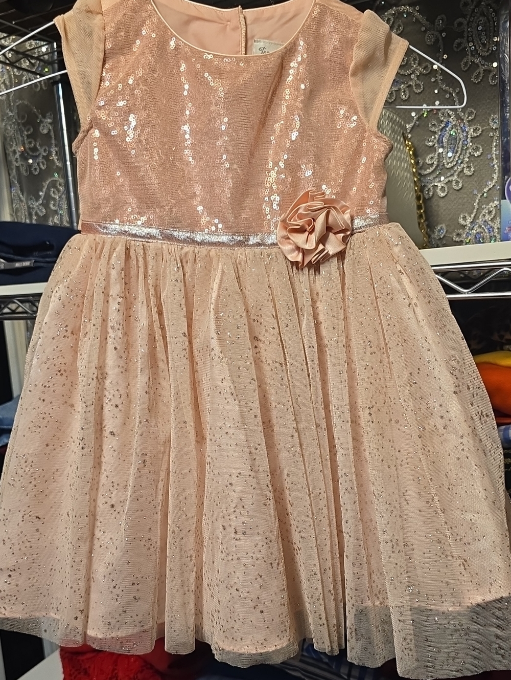 Girls Sparkle Peach Party Dress with Floral Accent